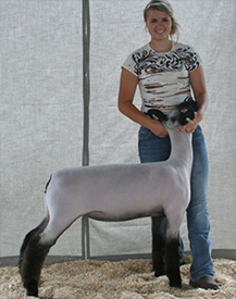 Fairwether Winner