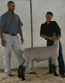 Fairwether Winner