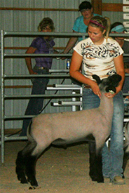 Fairwether Winner