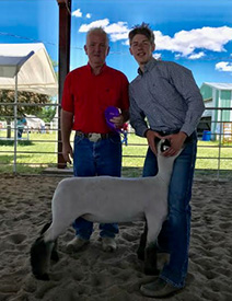 Fairwether Club Lambs Winners