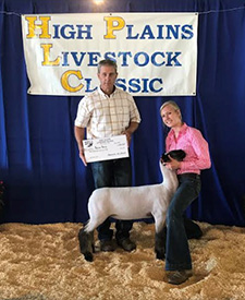 Fairwether Club Lambs Winners