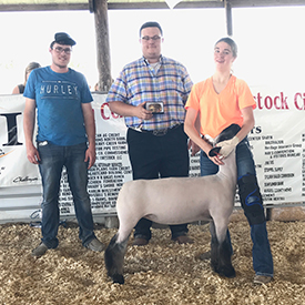 Fairwether Club Lambs Winners