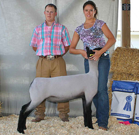 Fairwether Winner