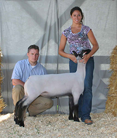 Fairwether Winner