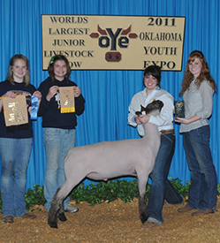 Fairwether Winner