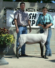 Fairwether Winner