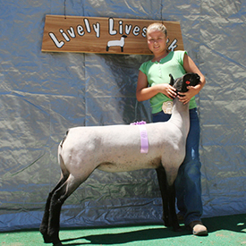 Fairwether Winner